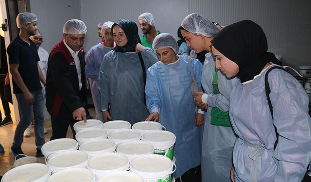 Geleceğin veterinerleri ile ziraat ve gıda mühendisleri mesleği uzmanlarından öğreniyor