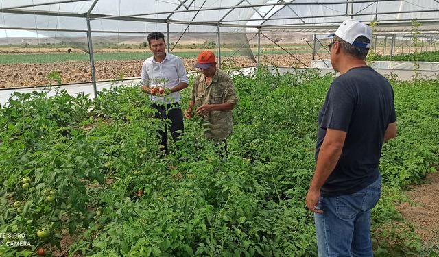 Mucur Tarım Müdürü Ürer çalışmalarına devam ediyor     