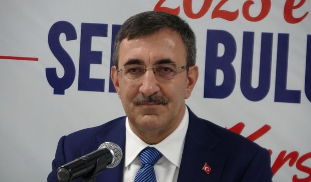 "Bağımsız Türkiye'yi dosta düşmana gösterdik"