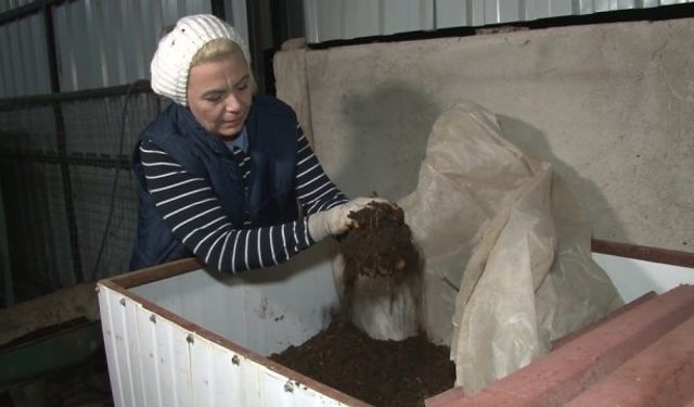 Mükerrem Güleç kimdir? Mükerrem Güleç nereli? Mükerrem Güleç neden hapis yattı?