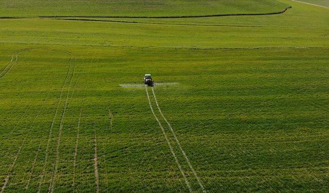 Tarım ÜFE ağustosta aylık bazda yüzde 3,83, yıllık yüzde 76,35 arttı