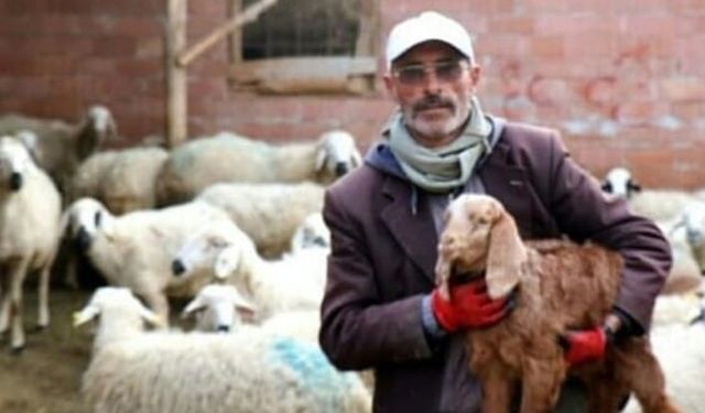 Fenomen muhtar adayı Aydın Battal'ı dolandıran 2 şüphelinin ifadesi şaşırttı