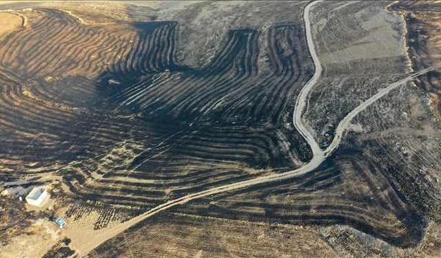 Diyarbakır ve Mardin arasında anız yangını: 5 ölü