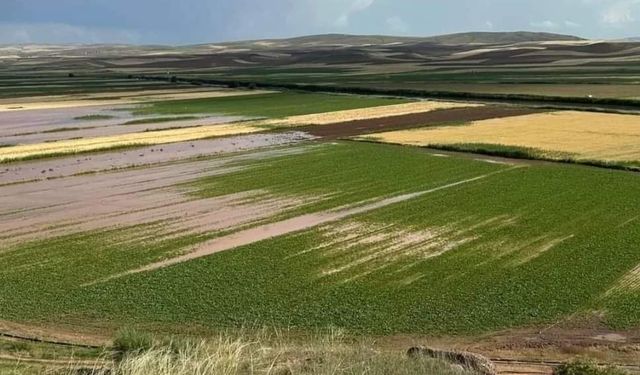 "Geçmiş olsun dileklerimi iletiyorum"