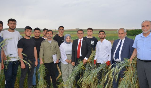 KAEÜ’de yılın ilk hasat heyecanı