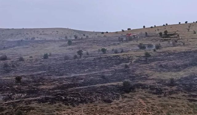 Kırşehir'de ormanlık alanda çıkan yangın korkuttu