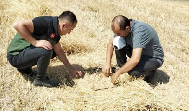 Kırşehir’de biçerdöverlere dane kaybı denetimi sürüyor