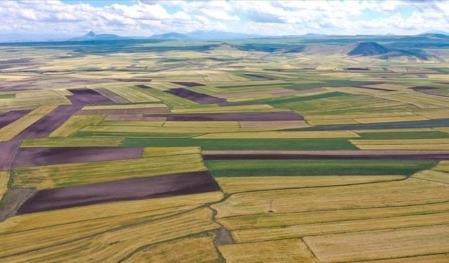 Uzmanlar arsa ve tarla alırken dikkat edilmesi gerekenleri açıkladı