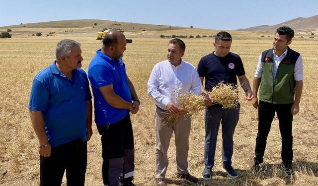 Kırşehir'de nadasa bırakılacak alanlara nohut ekiliyor