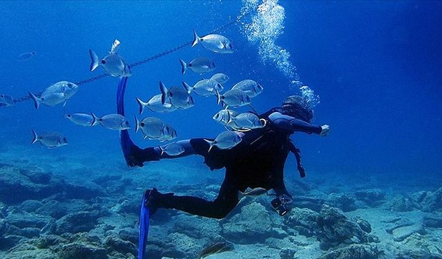 Bodrum, su altı zenginlikleriyle ziyaretçilerini ağırlıyor