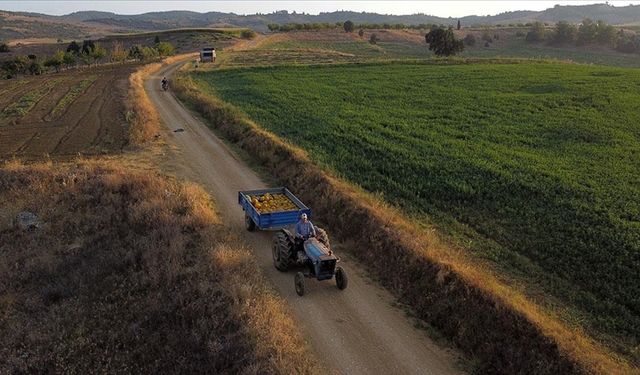 Çiftçilere yaklaşık 1,5 milyar lira tarımsal destekleme ödemesi yapılacak