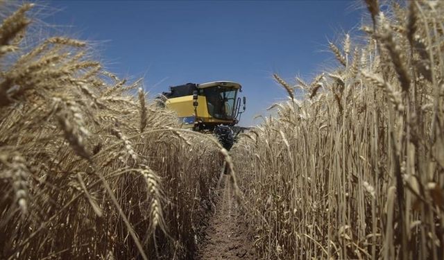 Tarım ÜFE temmuzda aylık bazda yüzde 1,74 azaldı