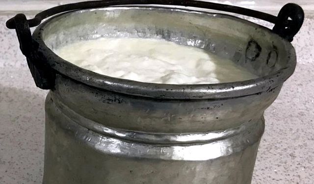 Araştırmacılar yaklaşık 3 bin 500 yıllık mumyalarda kefir peynirinin izlerine rastladı