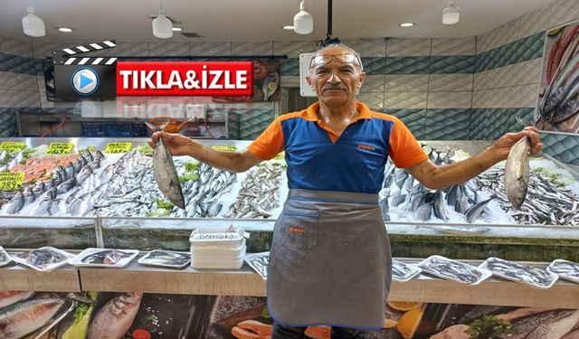 Kırşehirli vatandaşlar palamuta doyacak