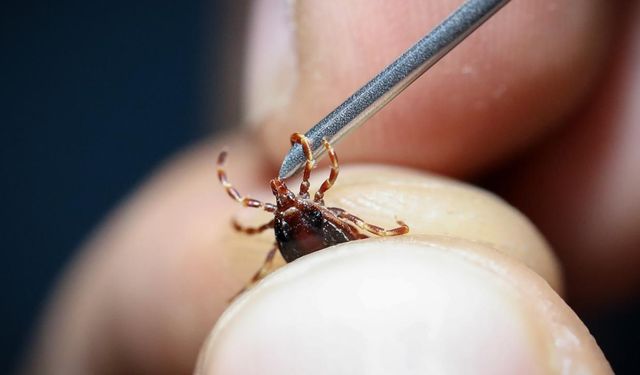 KKKA hastalığı tanısı konulan 6 kişinin tedavisi sürüyor
