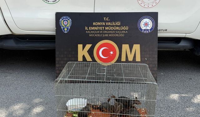 Park halindeki otomobilde çıkan yangın söndürüldü