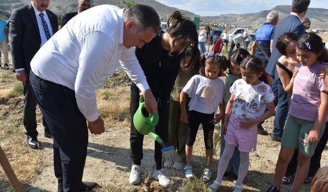 Hatıra ormanı için kollar sıvandı