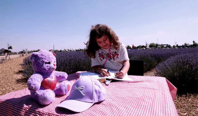 Lavanta Bahçesi ve Gül Parkı, Ziyaretçilerin Hayranlığını Topladı