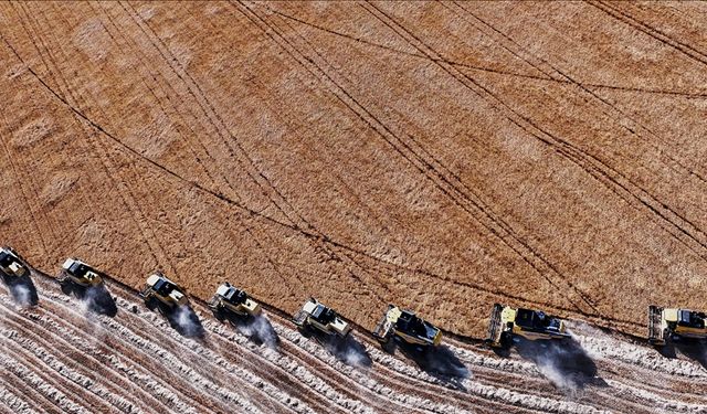 Tarımsal Girdi Maliyetlerinde Yıllık %33,88 Artış