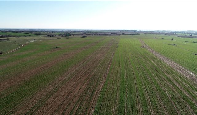 Kadın ve Genç Çiftçiye Öncelik