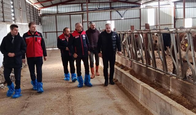 Tarım İl Müdürlüğü’nden Mucur’da Hayvancılık İşletmelerine Ziyaret