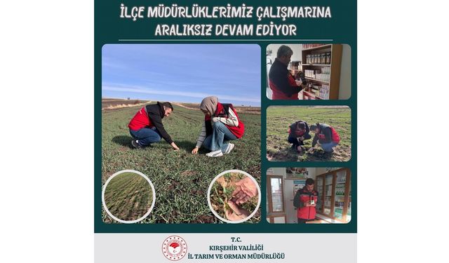 İlçe Müdürlüklerimizden Tarımsal ve Veterinerlik Alanında Yoğun Mesai
