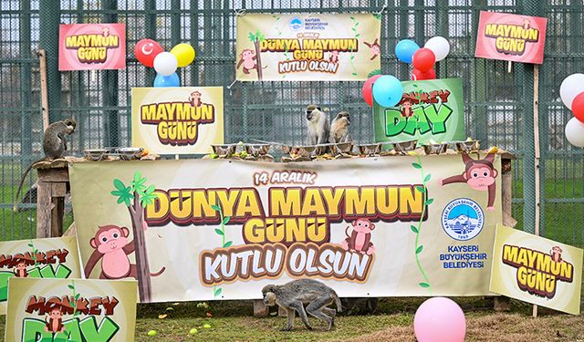 Hayvanat Bahçesinde Muz Şöleni