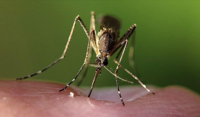 İklim Krizi Sağlığı Tehdit Ediyor