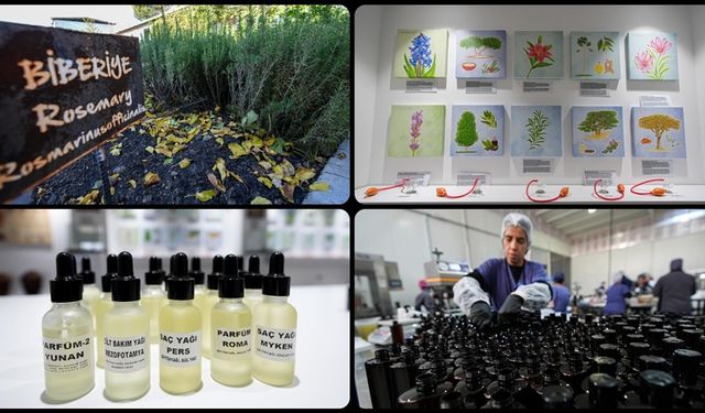 Anadolu'nun güzellik tarifleri Türk kozmetik sektörüne yeni fırsatlar sunuyor