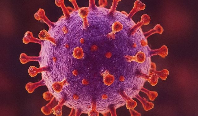 Yeni Grip Varyantı H3NZ: Belirtileri ve Türkiye’ye Yayılma Riski!