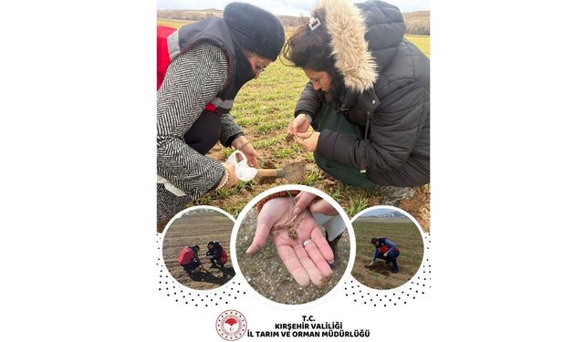 Kırşehir’de Fenolojik Gözlem Çalışmalarıyla Tarımsal Verimliliğe Katkı Sağlanıyor