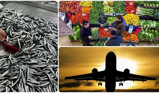 Balık, Et ve İlaç Cep Yakıyor; Uçak Biletleri İse Tarihi Düşüşte