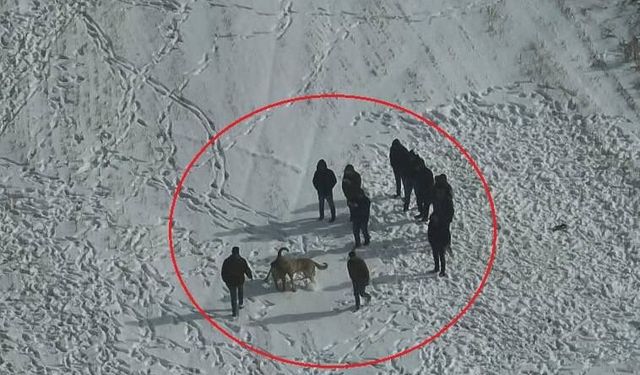 Dronu fark edip kaçtılar, jandarmaya yakalandılar