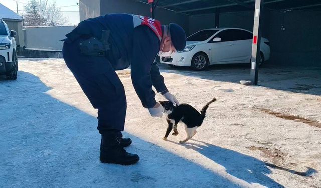 Motor Kısmına Sıkışan Yaralı Kedi Tedaviye Alındı