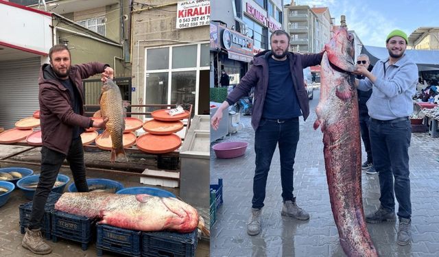 2 Metrelik Yayın Balığı Kırşehirli Vatandaşları Şoka Uğrattı!