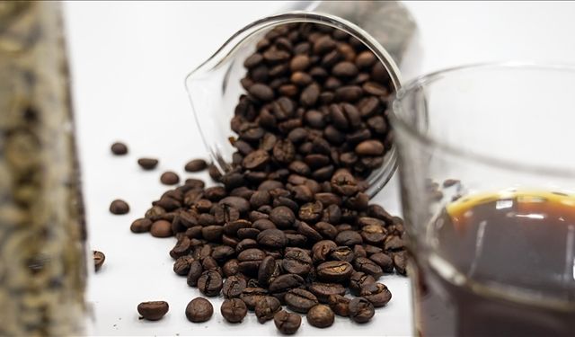 Kahve üretiminde geleneksel yöntemlere çevreci alternatif