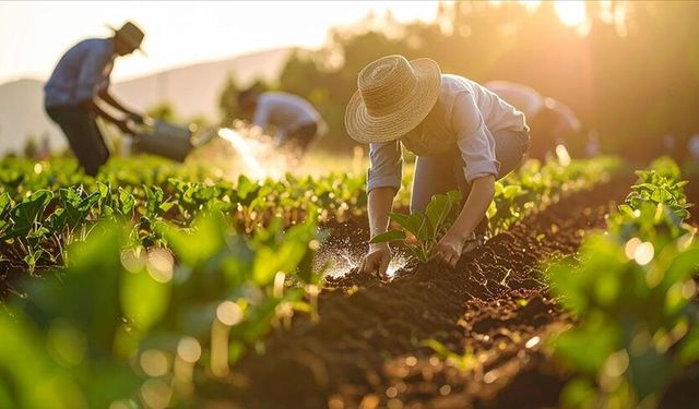 Gıda Fiyatlarını Etkileyecek Düzenleme