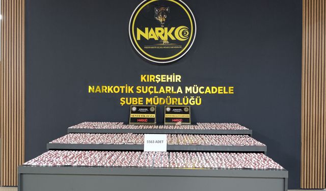 Kırşehir’de Binlerce Sentetik Ecza Ele Geçirildi