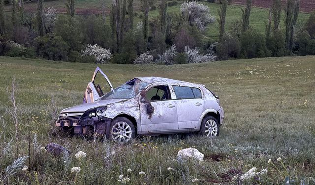 Otomobil şarampole devrildi: 2 yaralı
