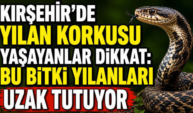 Kırşehir’de Yılan Korkusu Yaşayanlar Dikkat: Bu Bitki Yılanları Uzak Tutuyor