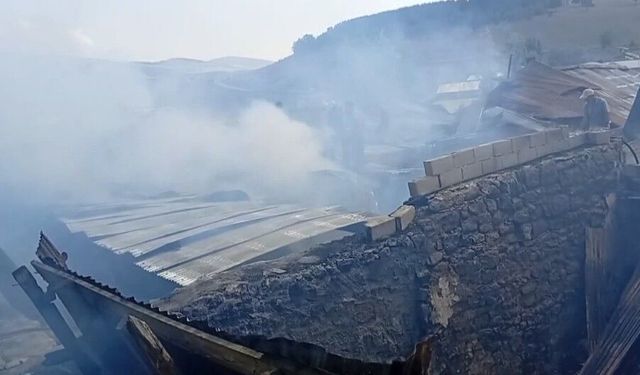 Köyde Korku Dolu Saatler! Alevler Her Yeri Sardı