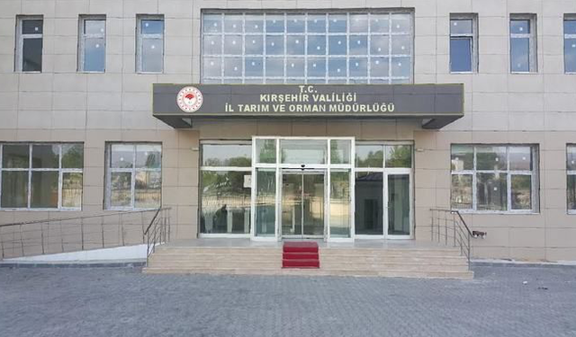 BİNA İŞLERİ YAPTIRILACAKTIR
