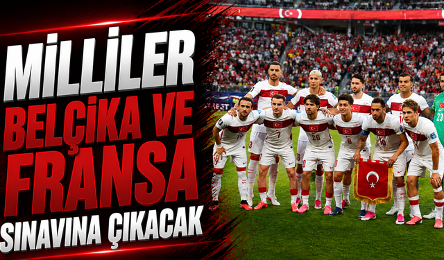 A Millî Takım'ın kasım ayı programı belli oldu