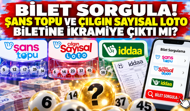 Bilet sorgulama ekranı: Şans Topu, Çılgın Sayısal Loto ve İddaa kuponu nasıl sorgulanır?