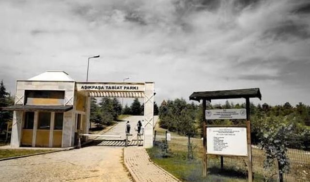 Aşıkpaşa Tabiat Parkı İşletmeciliği İşi İHALE İLANI