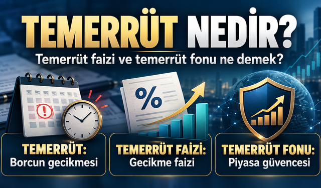 Temerrüt nedir, temerrüt faizi nasıl işler? Temerrüt fonu ne anlama geliyor?