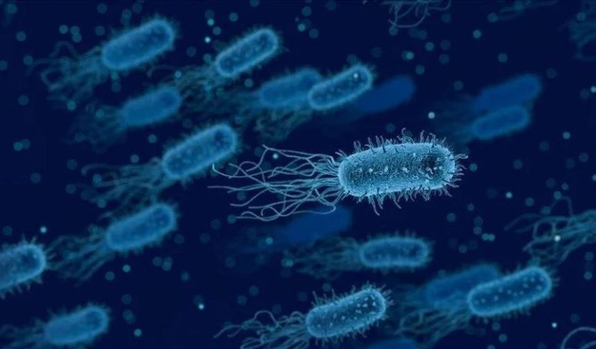 Bilim insanları, yapay zekayla süper  bakteriye karşı yeni antibiyotik geliştirdi