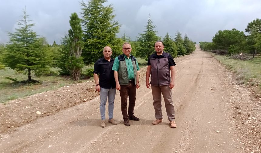 Kırşehir’de “Orman Benim Kampanyası” düzenlenecek