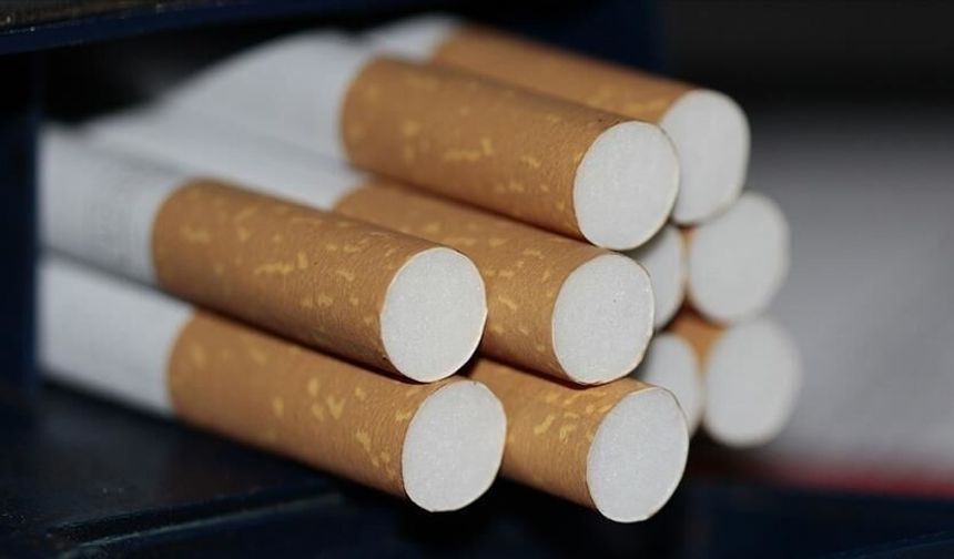 2015’ten Sonra Doğanlara Sigara Satılmayacak mı? Ömür Boyu Yasak Gündemde!