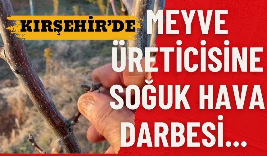 Kırşehir’de Meyve Üreticisine Soğuk Hava Darbesi